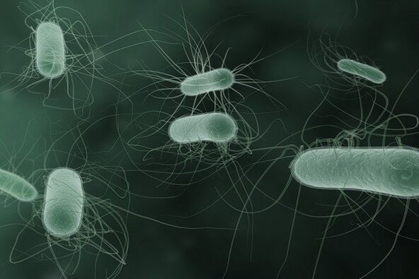 мікроорганізми викликають патологічні виділення при порушенні